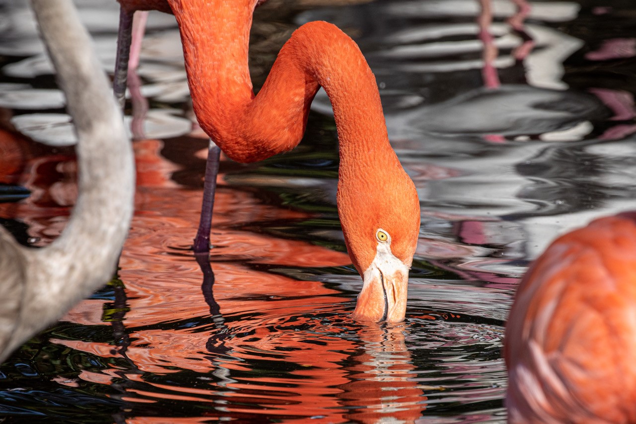 Photo by Lou Alexander