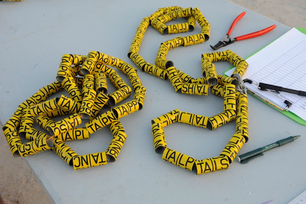 Inagua chick banding supplies by Richard Dunn